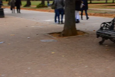 DSC_0640 (Large).JPG